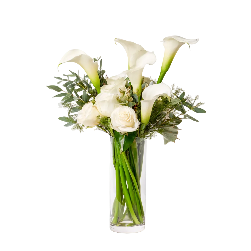 White Elegance - Flower Delivery New Zealand