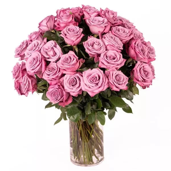 Three Dozen Long Stem Pink Roses - Flower Delivery New Zealand