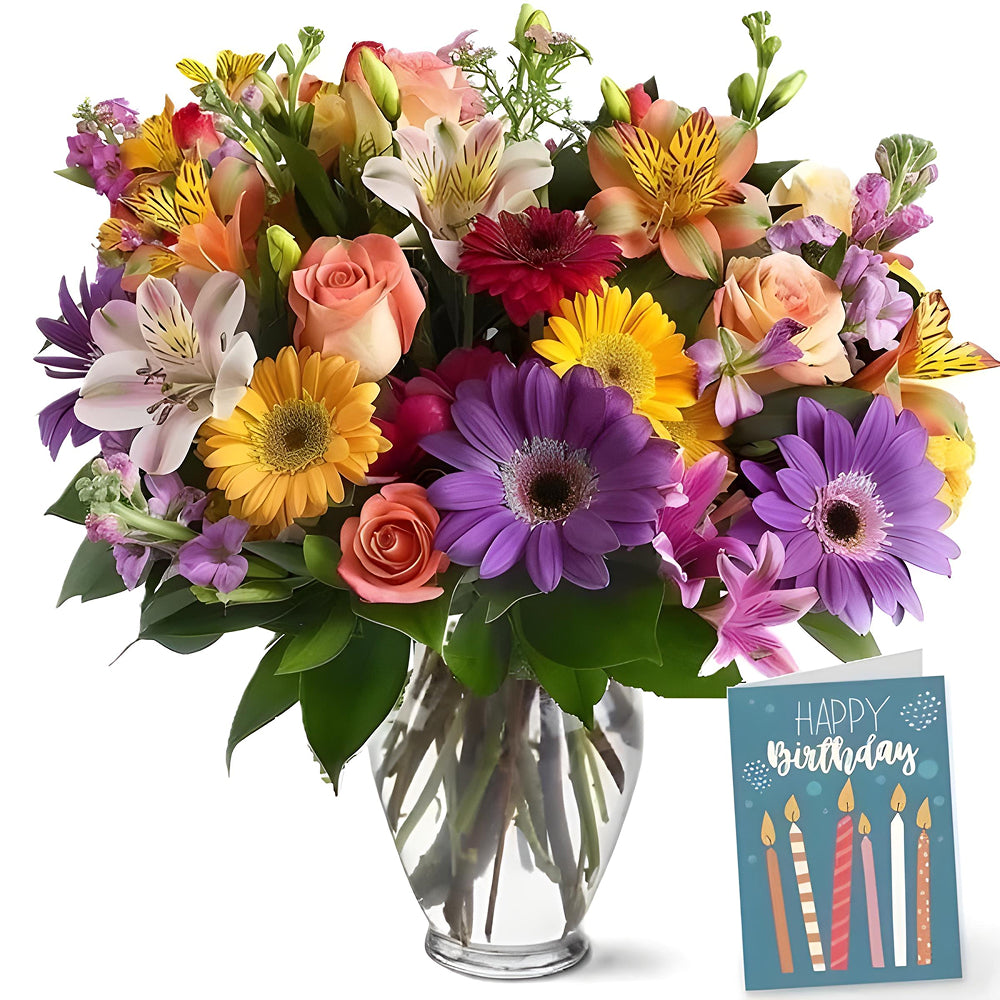 Birthday Designer Collection III | from $189.95 | NZ Blooms