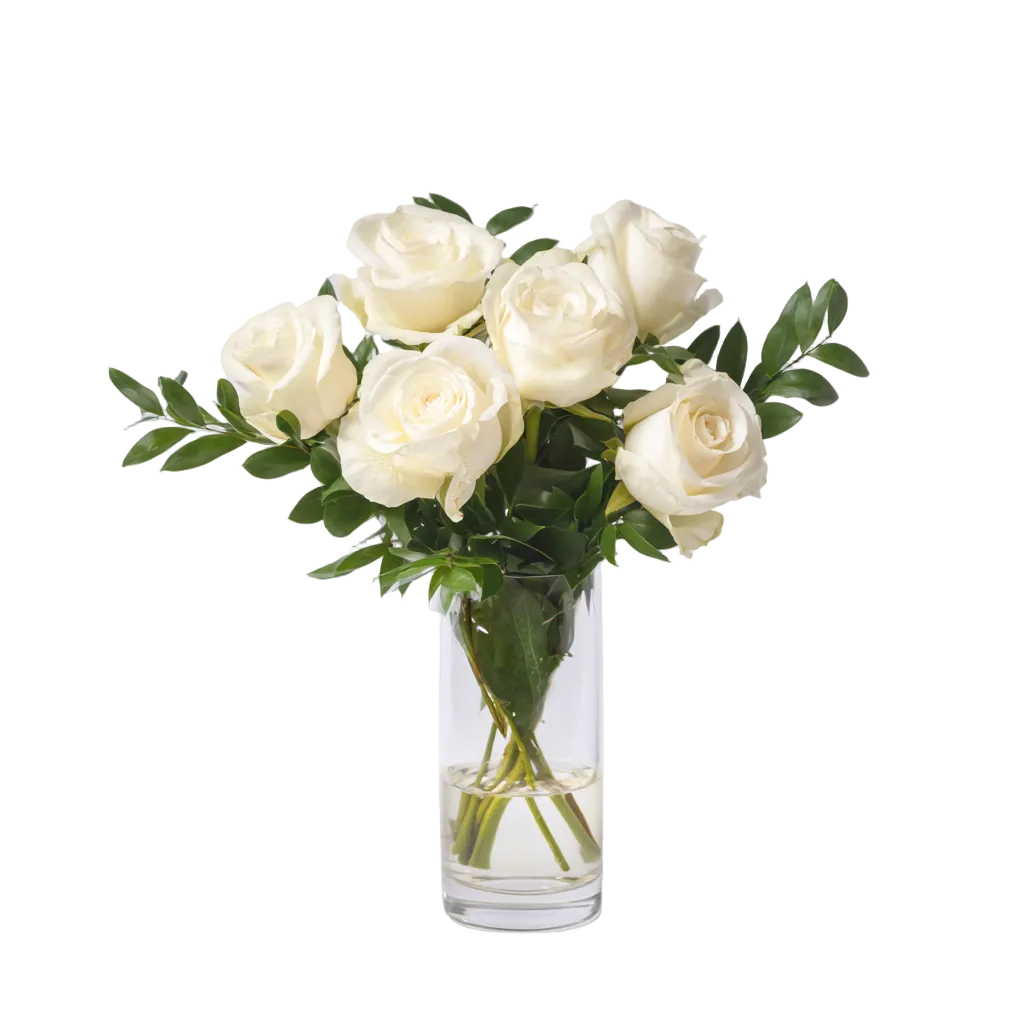 Half Dozen White Roses - Flower Delivery New Zealand