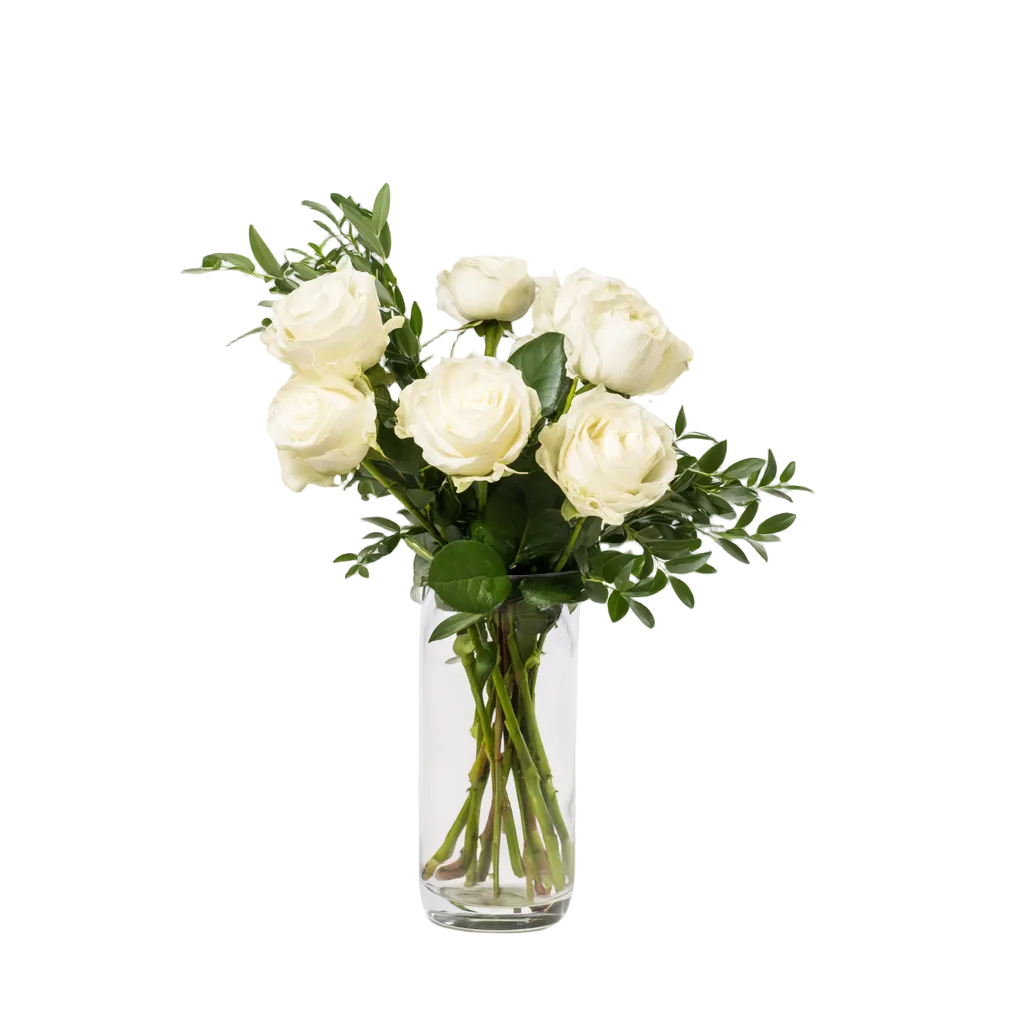 Half Dozen White Roses - Flower Delivery New Zealand