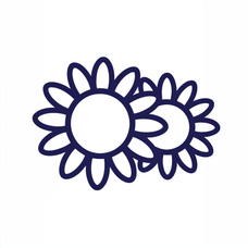 Send Flowers in New Zealand logo