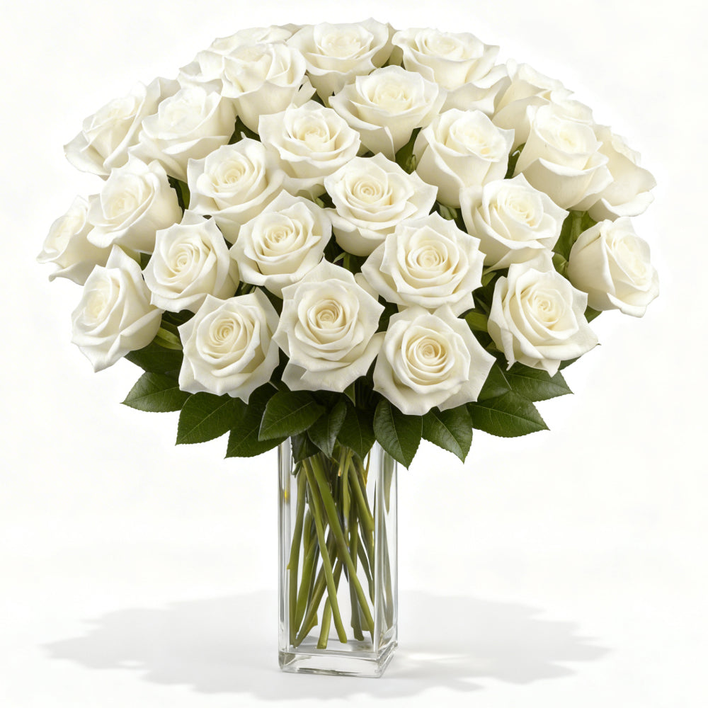 Wide Roses Three Dozen Long Stemmed White Roses | from $309.95 | NZ Blooms