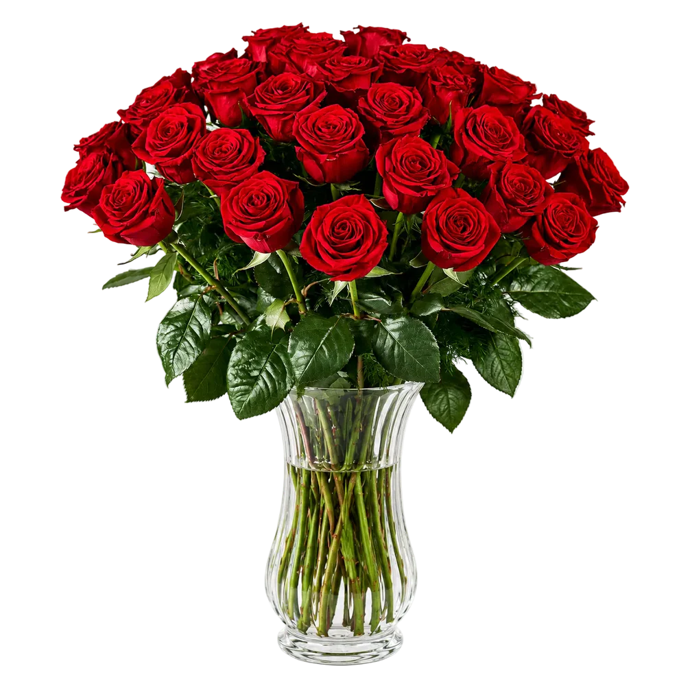 22 Red Roses Two Dozen Long Stem Red Roses | from $174.95 | NZ Blooms