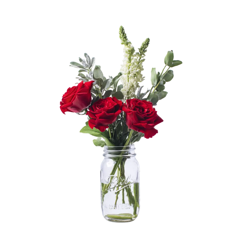 Radiant Roses - Flower Delivery New Zealand