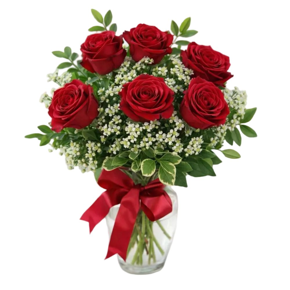 Half Dozen Long Stemmed Red Roses
