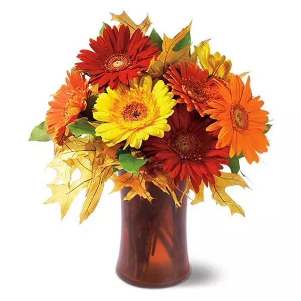 Autumn Gerberas - Flower Delivery New Zealand