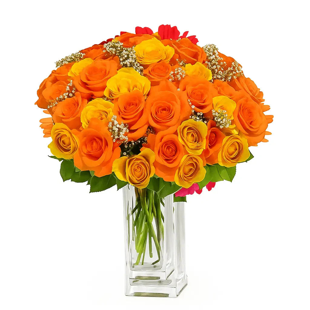 Three Dozen Long Stemmed Orange Roses