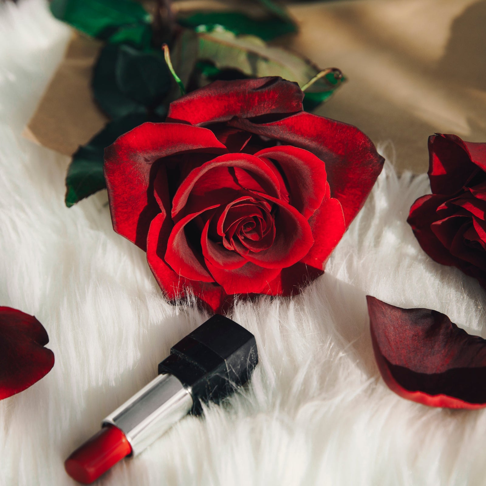 Red rose and lipstick on white fur