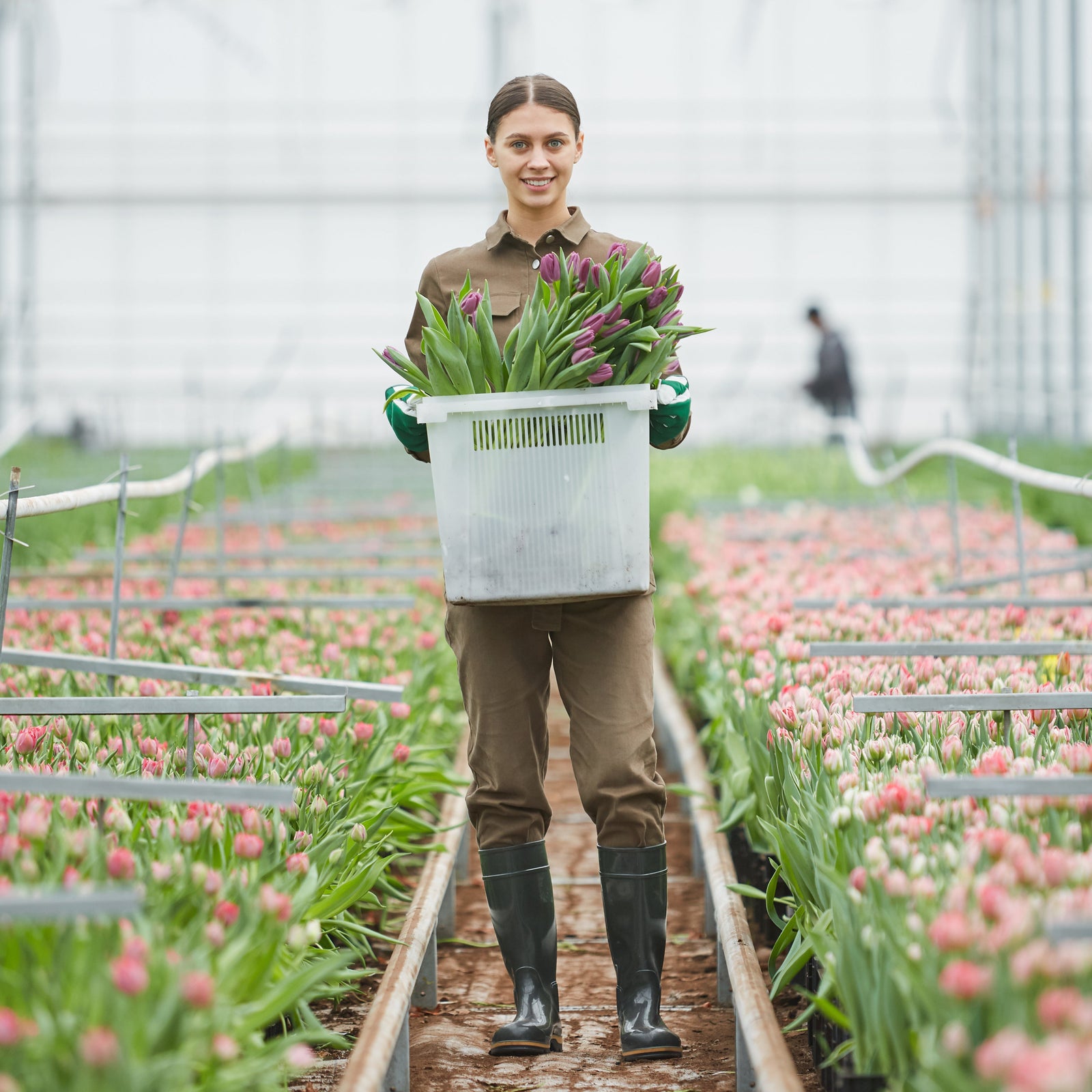 Woman in flower plantation holding tulips